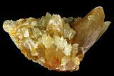 Amber-Yellow Calcite Crystal Cluster - Highly Fluorescent! #177293-1
